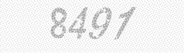 Visual security code — type the characters shown in the image